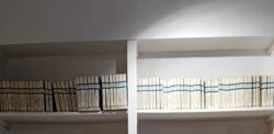 Lot de 84 livres Anticipation Fleuve Noir Période Blanche