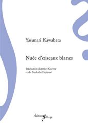 NUÉE D'OISEAUX BLANCS