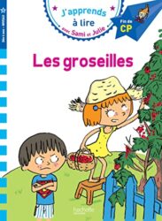 LES GROSEILLES